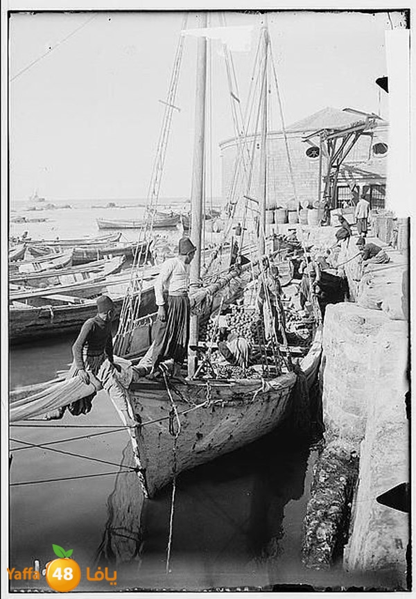 old yaffa 3j3 (10).JPG
